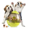 De senaste husdjurstumlaren läcker matbollar du kan äta när du spelar Dog Education Training Toys Teddy Golden Retriever Pet Suppli6523727