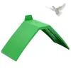 Inne zaopatrzenie ptaków 10 szt. Plastikowy gołąb v grzbiet ramy zielone gołębie spoczynkowe stoisko dla domów Wspornikowe akcesoria w klatce