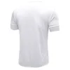 Herren-T-Shirts, kurzärmeliges T-Shirt, Großhandel, Europa, die Vereinigten Staaten, Rundhalsausschnitt, Baumwolle, Sommerjacke, individuelles Logo