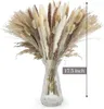 Decoratieve bloemen 85 STUKS Pampa Boeket Natuurlijke Gedroogde Bloem Boho Home Decor Voor Bruiloft Centerpieces Tafels Pampas Gras Decoratie