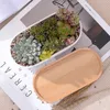 Planters POTS 1 Set Minimalist White Ceramic Succulent Plant Pot Porcelain Planter Dekorativ skrivbordsblommor Heminredning 1 Pot 1 Magasy 231025