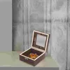 Ramar Insekt Display Case Wood Bug Box för prov Shadow Coffee Frame Shadowbox