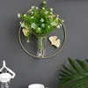 Planters Pots Creative Wall Hanging Plants Vase with Metal Ginkgo Leaf Frame Stand Geometric Glass Test Tube Hydroponic Planters Terrarium Hom 231025