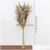 Decorative Flowers Wreaths 60Cm Pampas Grass Bouquet Dried Flower Wholesale Wedding Use Christmas Decor Artificial Flowers Fall Deco Dhpoc