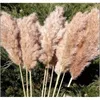 Decorative Flowers Wreaths 60Cm Pampas Grass Bouquet Dried Flower Wholesale Wedding Use Christmas Decor Artificial Flowers Fall Deco Dhpoc