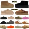 2023 Tasman Tazz tofflor stövlar kastanj päls glider fårskinn skjuvande mulor kvinnor män ultra mini plattform boot slip-on skor mocka Comfort Fall Winter Booist 35-42