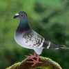 Party Decoration Miniatures Garden Statue Turtledove Landscape Pigeon Sculpture Artificial Feathered Lawn Adornment Craft