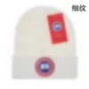 Nouveau Canada hiver tricoté chapeau de luxe bonnet printemps automne unisexe brodé logo laine d'oie hommes femmes chapeaux S-4