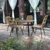 Kampmeubilair Japanse rotan buitenstoelen Nordic vrijetijdsrugleuning Ijzeren balkon Eetkamerstoel Designer bank
