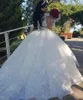 2024 Lace Wedding Dresses Princess V-neck Puff Long Sleeves Appliques Bridal Gowns Plus Size Arabian Vestido de Noiva Plus Size