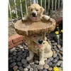 Garden Decorations Playful Garden Dog Statues Puppy Shape Outdoor Bird Bath Feeder Polyresin Birdbath Home Yard Animal Sculptures Decor 10*9*21 cm 231025