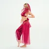 Stage Wear Style Women Belly Dance Costume Set Sexy Outfit Performance Clothes With Scarf