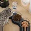 Dog Bowls Feeders Pet Cat Bowl Automatic Feeder 3-in-1 Dog Cat Food Bowl With Water Fountain Double Bowl Drinking Raised Stand Dish Bowls For Cats 231023