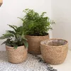 Planters Pots Straw Flower Pot Weaving Flower Plant Basket Grass Planter Basket Indoor Flower Pots Cover Plant Containers for Plantable Plants 231025