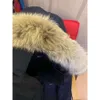 Australian Canada Designer Down Parkas Kurtka za wyjątkowo pogodę Pieczniki przedłużenia dla męskiej bluzy dla kobiet lekka kamizelka mody Sweter