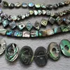 Lot Rainbow Paua Abalone Shell Moneta Owalny kwadrat kropli serc prostokąt łzawy trójkąt owalny pączka gwiazda diamentowa koraliki biżuteria Makin280B