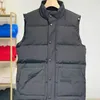 Venda Quente Moda masculina colete para baixo colete de algodão projetos masculino e feminino sem mangas jaqueta puffer outono inverno casacos casuais casais coletes manter casaco quente