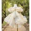 Dog Apparel Wedding Dress Fashion Puppy Skirt For Small Dogs Clothes Party Sweet Pet Princess Dresses Supplies Maltese