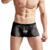 Underpants Sexy Men Sissy Lace Transparent Lingerie Skirt Clubwear Panties Smooth Temptation Underwear Comfy Gays Briefs