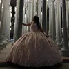 Pink Shiny Ball Gown Quinceanera Dresses Beads Sweetheart Applique 3DFloral Brithday Dance Party Vestidos 15 De Quinceanera