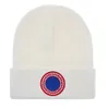 шапка Fashin дизайнерская роскошная мужская женская бейсбольная кепка спортивные хлопчатобумажные вязаные шапки тюбетейки классические гусиные буквы шерстяные шапки с вышивкой повседневные уличные H-16