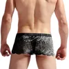 Underpants Sexy Men Sissy Lace Transparent Lingerie Skirt Clubwear Panties Smooth Temptation Underwear Comfy Gays Briefs