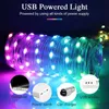 5m/10 LED Christmas Light Fairy String Intelligent Bluetooth Adresserbar Curtain Garden Feston Family 231025