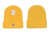 Newest Fashion designer 2023 autumn and winter new knitted wool hat luxury knitted hat 19