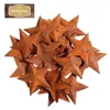 Decorações de Natal 150pcs 45cm estrelas enferrujadas celeiro em miniatura ornamentos de árvores enferrujadas diy mini forma de metal vintage pendurado 231025