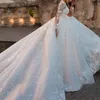 illusion White/Ivory Wedding Dresses 2024 Elegant Long Sleeves Appliques Lace Elegant Bride Dress Princess Tulle Wedding Gowns