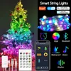 ديكورات عيد الميلاد Tuya Smart WiFi LED Fairy String Light RGB الرقص مع مصابيح مزامنة الموسيقى Garland for HomeHolidaychristmas Decor 231025