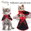 Costumes de chat, cape de Cosplay pour animaux de compagnie, vêtements d'université, petit châle magique de printemps et d'automne pour chien, Costume d'halloween