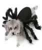 Halloween Pet Vestiti Del Cane Peluche Ragno Vestirsi Per Cani di Piccola Taglia Gatti Cosplay Divertente Festa Cucciolo Costume Per Chihuahua Yorkie 20124714848