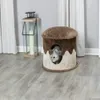 Condo d'intérieur pour chat avec housse en peluche confortable avec un jouet pour chat sur ficelle, marron-beige