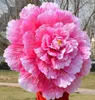 Parasol tańca 3D Performance Peony Flower Parrella Chińskie multi -warstwowa tkanina parasolowy Props KKA71359364314