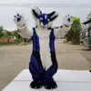 2024 Korting fabriek Blauw Wit Fursuit Kat Husky Mascotte Kostuum Fancy Dress Verjaardag Verjaardagsfeestje Kerst Pak Carnaval