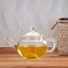 Conjuntos de louça de chá pequeno chaleira de água transparente bule de vidro mais íngreme portátil doméstico japonês