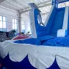 Commercial Giant Inflatable double Water Slide Dolphin Pool Slide Inflatable bounce house With Pool For Adult kids free air ship