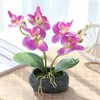 Fleurs décoratives Double papillon orchidée plante en pot fleur de soie artificielle bonsaï ciment pot de fleurs fête de mariage décor de jardin à la maison