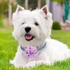 Dog Collars Pet Collar Charms Bright Exquisite Flower 10pcs Elastic Band Slide Attachments For Grooming Accessories