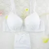 Girls Cute Bras Sets Sexy Japanese Student Lovely Bra Set Lingerie Adjustable Lace Embroidery Push Up Fashion Women Underwear Bra 267i