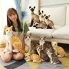 Gevulde pluche dieren Gevulde levensechte Siamese katten knuffel simulatie korthaar schattige kat pop huisdier speelgoed huisdecoratie cadeau voor meisjes verjaardag