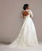 Elegant Long Sleeves Wedding Dress Lace Appliques Open Back Sexy Country Garden Bridal Gowns Court Train A Line Ivory Tulle Bride Dresses 2024