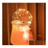 Balloon Party Supplies Luminous Led Rose Flower Bouquet Bobo Ball Proposal Valentines Mothers Day Festive Decor Seaway Z Drop Delivery Dhp9K