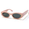 Sunglasses 2023 Retro Oval Female Rectangular Thick Frame Classic Design Dark Lens Glasses