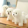 Animali di peluche ripieni Simulazione di alta qualità Frise Dog Peluche Ripiene Realistico Cucciolo di cane Giocattoli Decorazioni per la casa Bambini brithday