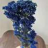 Dekorativa blommor 50g Natural Hirs Fruit Torked Flower Wedding Presents To Gäster Artificial Home DecorationGift Girlvän Pampas