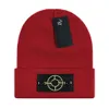 Nouveau hiver tricoté ISLAND Beanie hommes et femmes chapeaux décontractés de haute qualité tricot chaud bonnets chapeaux femme Bonnet STONE Beanie Caps 17 couleurs S-13