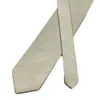 Papillon da uomo d'affari stile cravatta Passabin cravatta in seta classica dal design personalizzato a mano di lusso