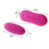 Adult Toys APHRODISIA 10 Modes Bullet Vibrator Multi-Speed Vibrating Egg Massager Power Wired Remote Control Toys For Women 231026